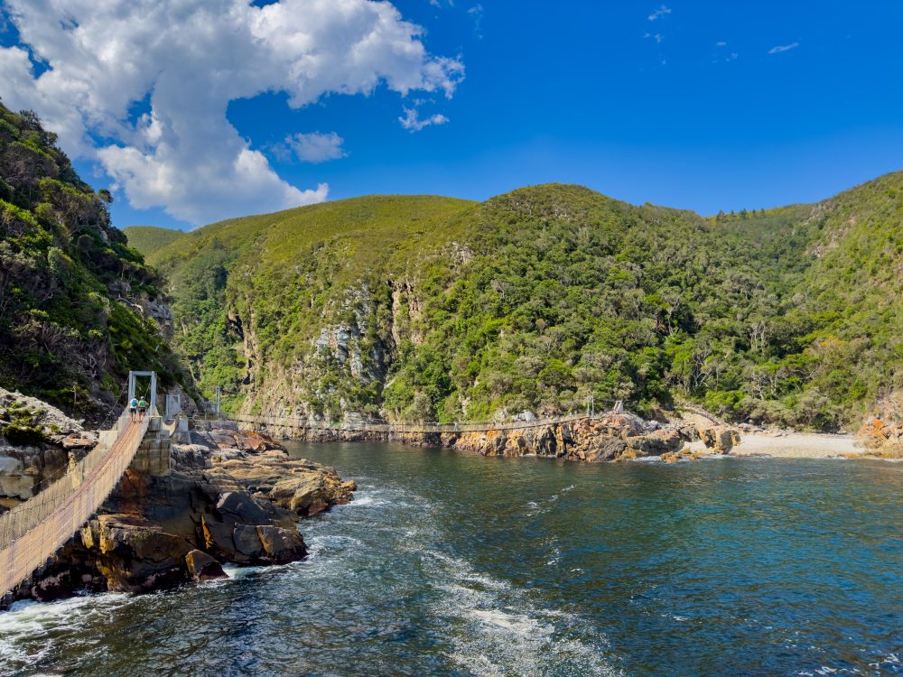 SANPARKS - Garden Route NP - EXTRAS - Storms River Mouth - Suspension Bridge-251013-7