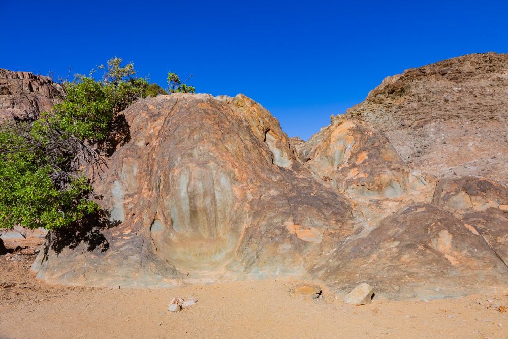SANPARKS - Richtersveld - Hand of God-260208-11