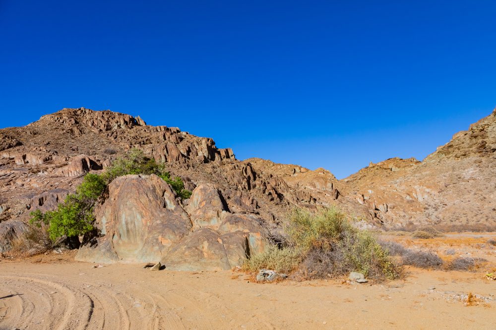 SANPARKS - Richtersveld - Hand of God-260208-19