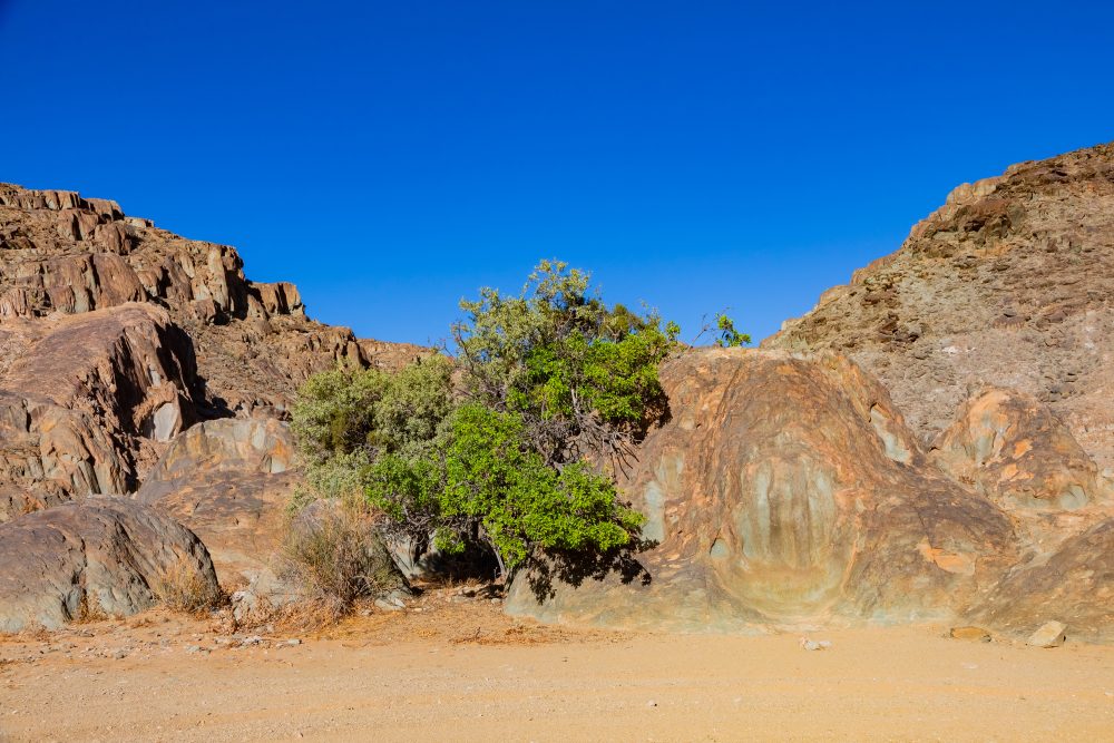 SANPARKS - Richtersveld - Hand of God-260208-6