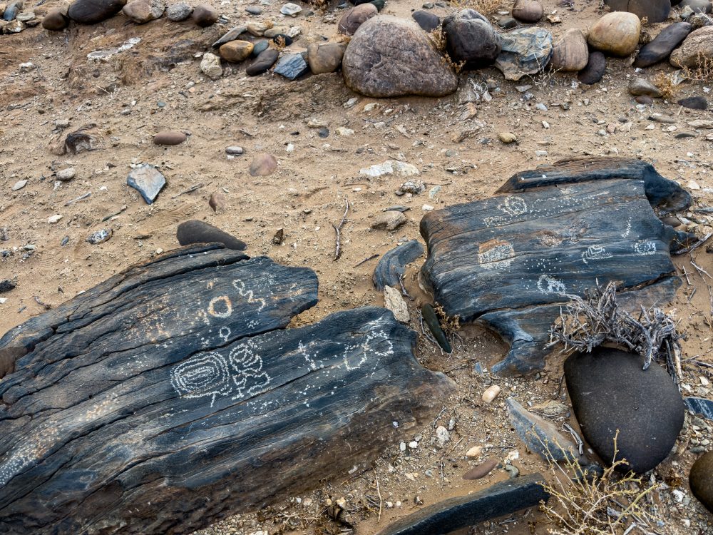 SANPARKS - Richtersveld - Orange River Petroglyph-260210-10