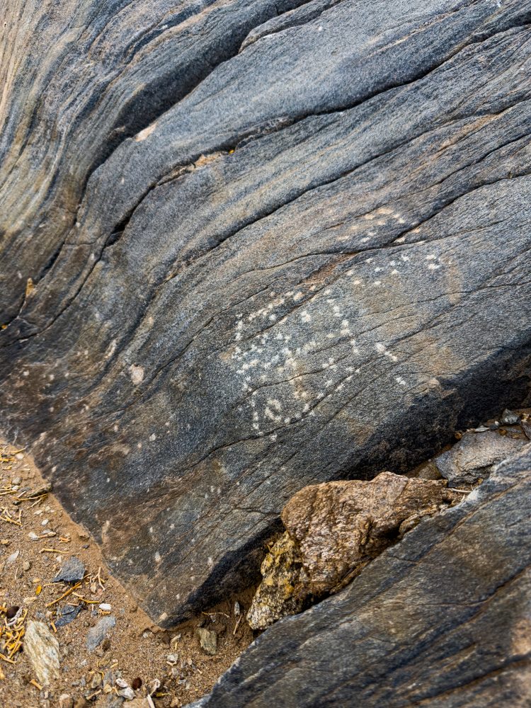 SANPARKS - Richtersveld - Orange River Petroglyph-260210-12