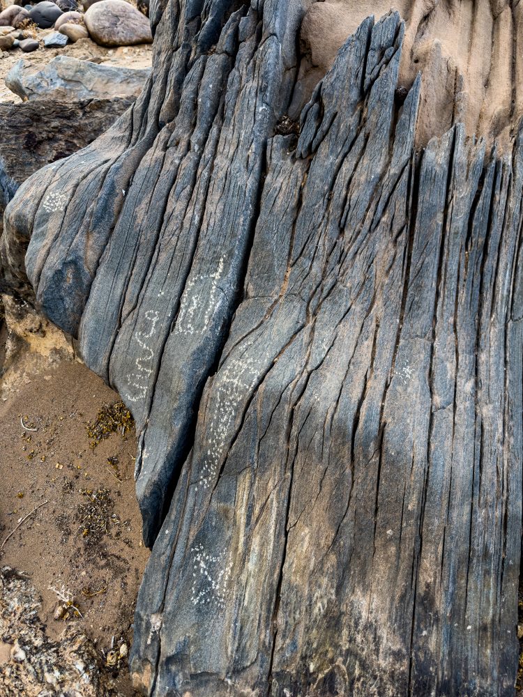 SANPARKS - Richtersveld - Orange River Petroglyph-260210-13