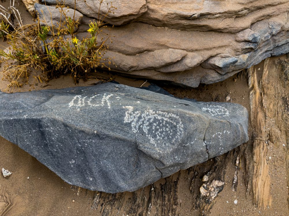 SANPARKS - Richtersveld - Orange River Petroglyph-260210-14