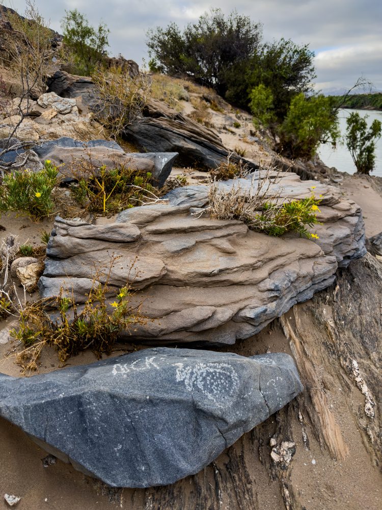 SANPARKS - Richtersveld - Orange River Petroglyph-260210-15
