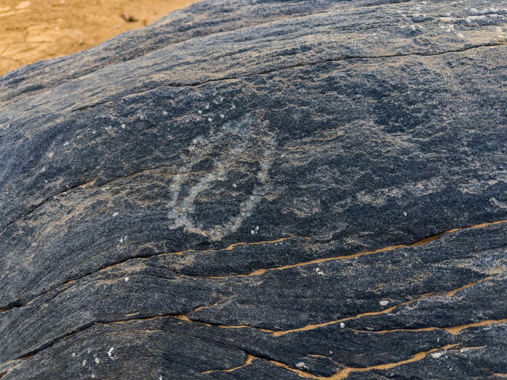 SANPARKS - Richtersveld - Orange River Petroglyph-260210-2