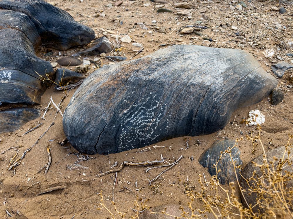 SANPARKS - Richtersveld - Orange River Petroglyph-260210-6