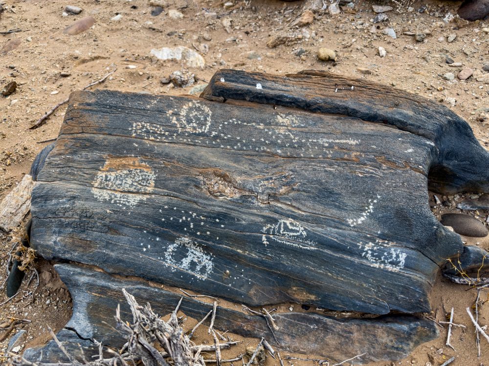SANPARKS - Richtersveld - Orange River Petroglyph-260210-7