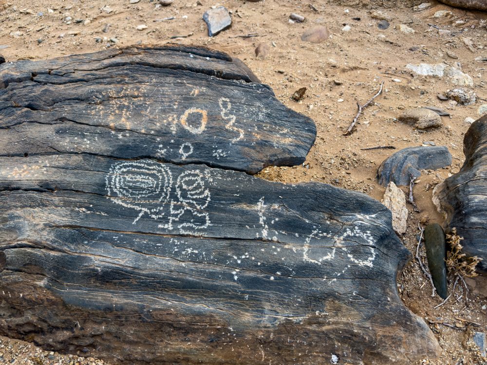 SANPARKS - Richtersveld - Orange River Petroglyph-260210-8