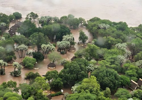 Kruger Recovery Fund