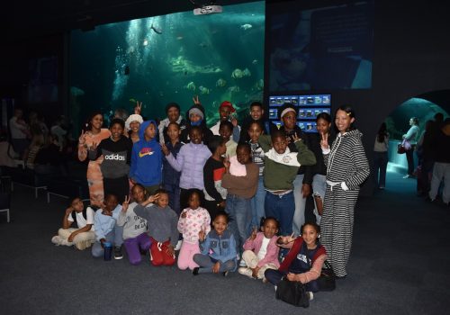 Tokai Forest Community holiday fun at the aquarium